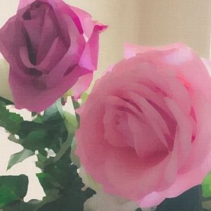 Meet your Posher, Ara